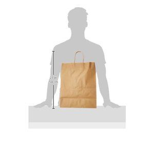 Natural Kraft Paper Bags | with Handles | Quantity 21 bags | Multipurpose shop